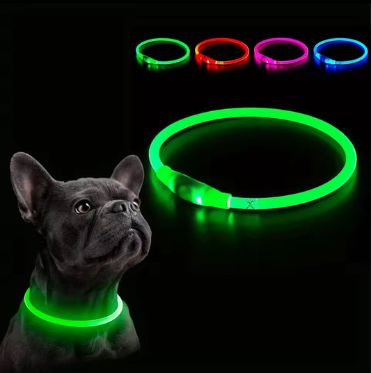 🐕 Collier Lumineux LED pour Chien – Sécurité et Style de Nuit 🌙✨
