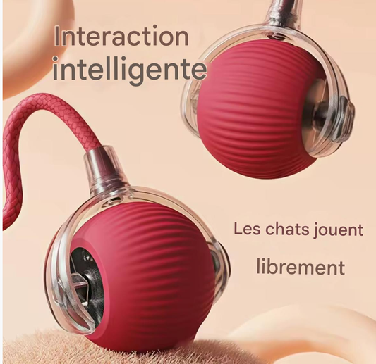 Jouets interactifs intelligents pour  chien et chats