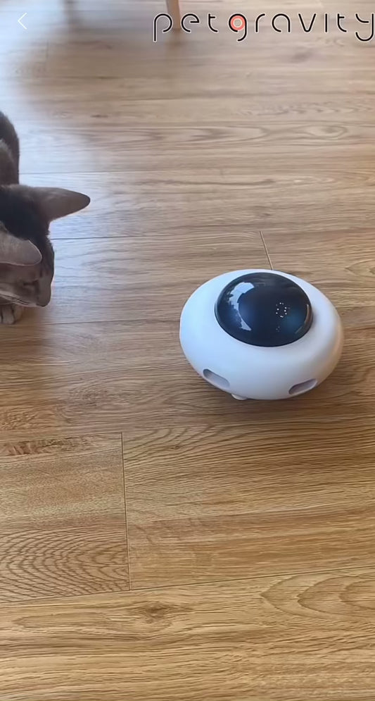 OVNI pour Chat – Jouet Interactif qui Fait Tourner la Tête !